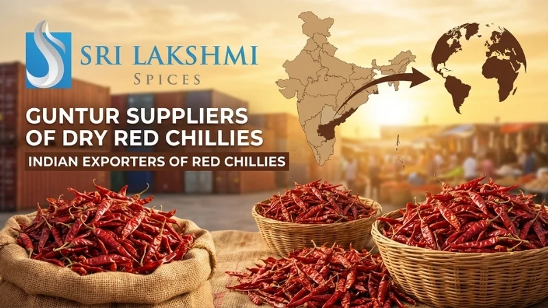 guntur-suppliers-of-dry-red-chillies-and-indian-exporters-of-red-chillies